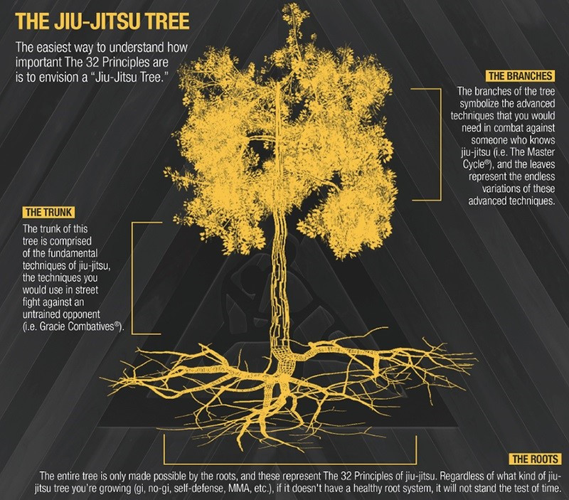 Review: The 32 Principles of Jiujitsu (UPDATE) – Develop Your Jiujitsu  A-Game