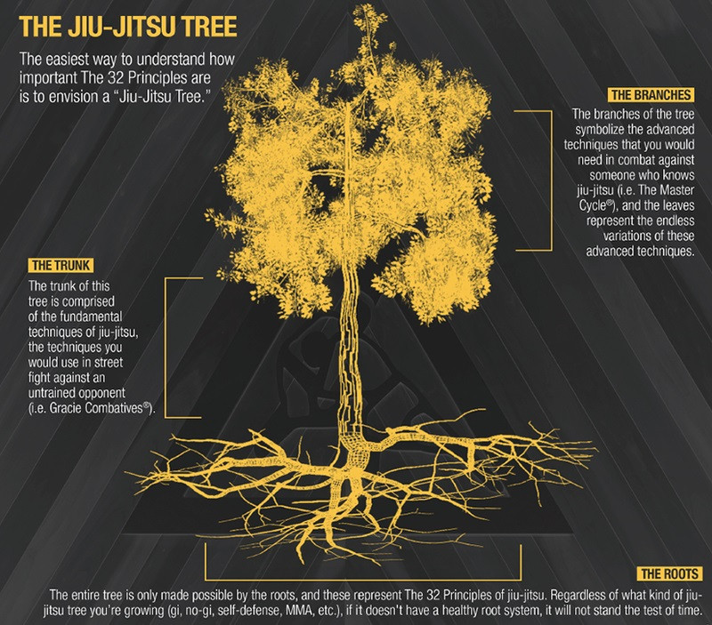 The Jiu-Jitsu Tree