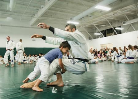 martial art like Gracie Jiu-Jitsu