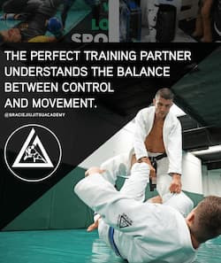 Gracie jiu jitsu approach to self-defense